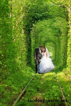 Nhiều cặp đôi tìm đến “Đường hầm tình yêu” để chụp hình cưới. R/Minh Thanh/ VTCN 36/