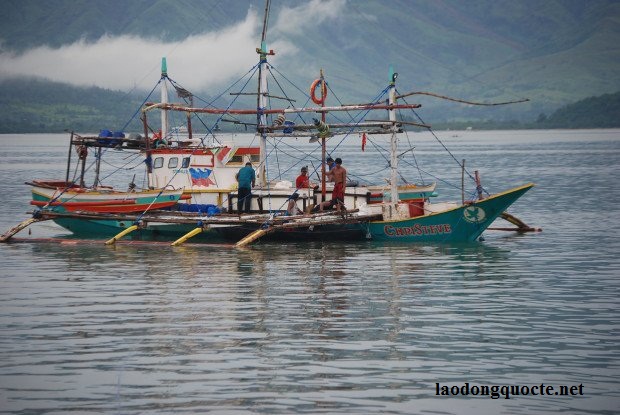 fishermens-boat-1-620x415-1477904497307